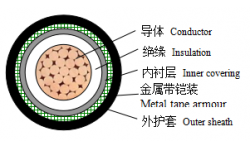 0.6/1kV交聯聚乙烯絕緣非阻燃、阻燃、無鹵低煙阻燃及耐火鎧裝電力電纜